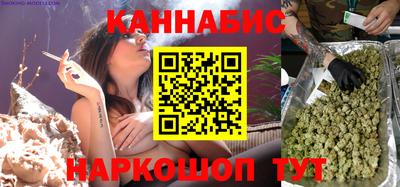 крисы Новодвинск
