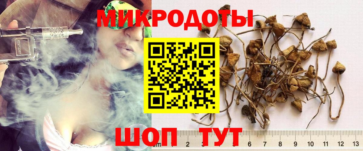 Псилоцибиновые грибы мицелий  Вход с VPN  Партизанск 