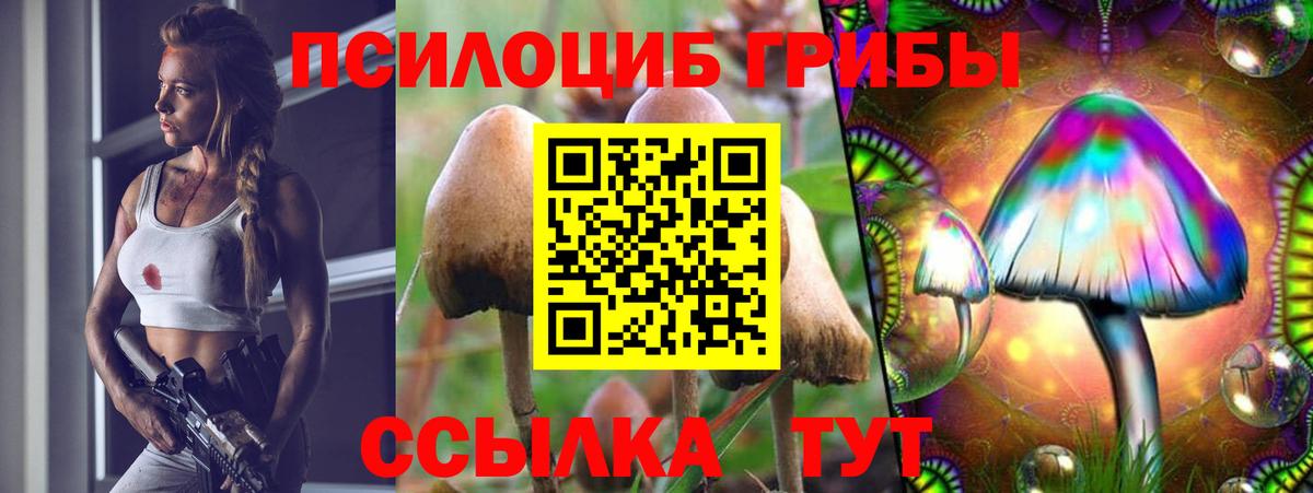 Галлюциногенные грибы Psilocybe Партизанск